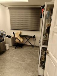 Blk 869 Tampines Vista (Tampines), HDB 4 Rooms #479681651